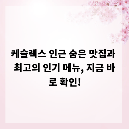 케슬렉스 인근 숨은 맛집과 최고의 인기 메뉴, 지금 바로 확인!
