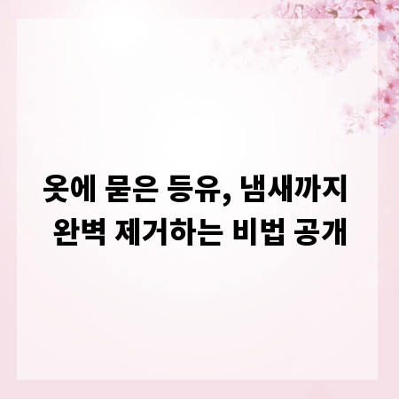 옷에 묻은 등유, 냄새까지 완벽 제거하는 비법 공개