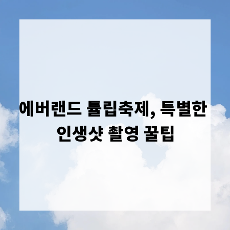 에버랜드 튤립축제, 특별한 인생샷 촬영 꿀팁