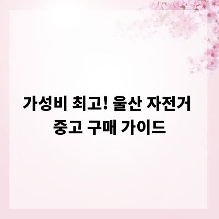 가성비 최고! 울산 자전거 중고 구매 가이드