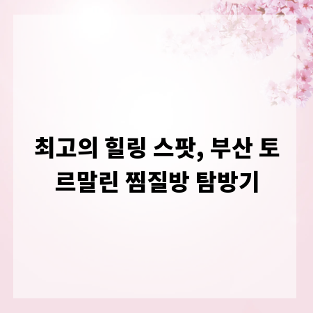 최고의 힐링 스팟, 부산 토르말린 찜질방 탐방기