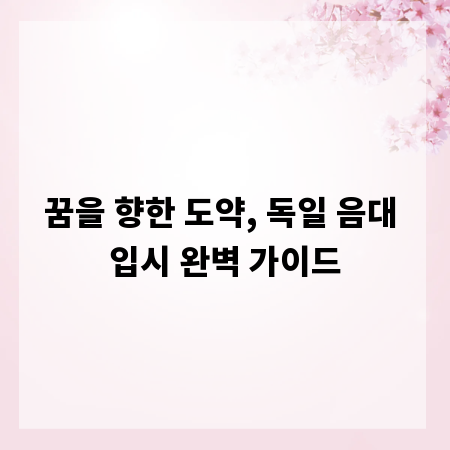 꿈을 향한 도약, 독일 음대 입시 완벽 가이드