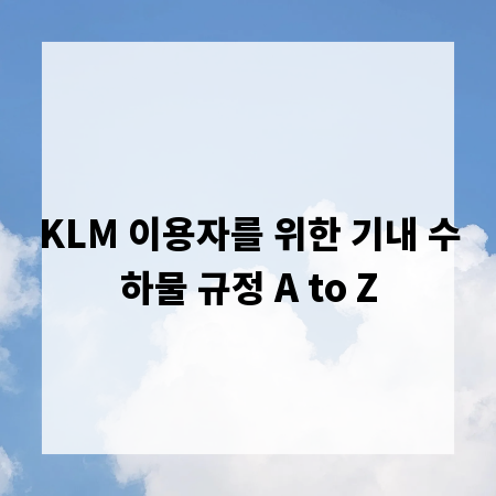KLM 이용자를 위한 기내 수하물 규정 A to Z