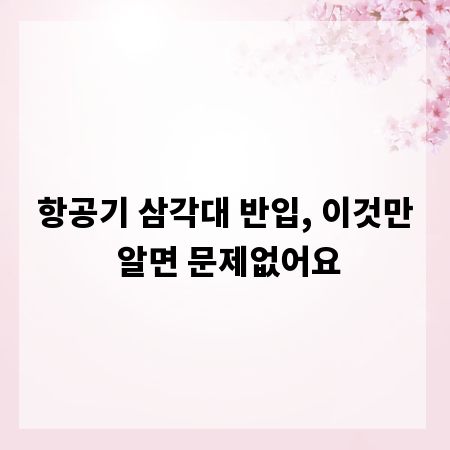 항공기 삼각대 반입, 이것만 알면 문제없어요