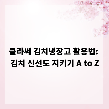 클라쎄 김치냉장고 활용법: 김치 신선도 지키기 A to Z