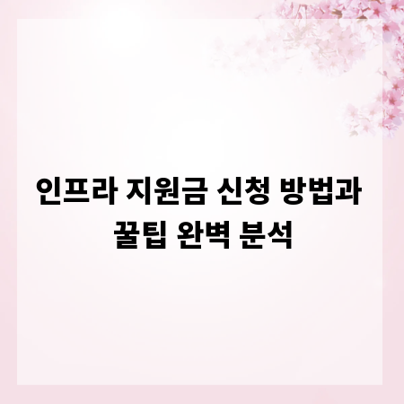 인프라 지원금 신청 방법과 꿀팁 완벽 분석