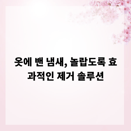옷에 밴 냄새, 놀랍도록 효과적인 제거 솔루션