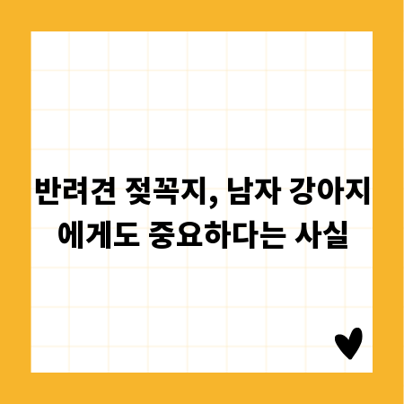 반려견 젖꼭지, 남자 강아지에게도 중요하다는 사실