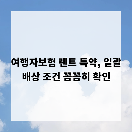 여행자보험 렌트 특약, 일괄배상 조건 꼼꼼히 확인