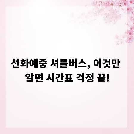 선화예중 셔틀버스, 이것만 알면 시간표 걱정 끝!