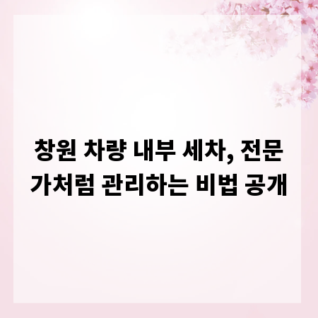 창원 차량 내부 세차, 전문가처럼 관리하는 비법 공개