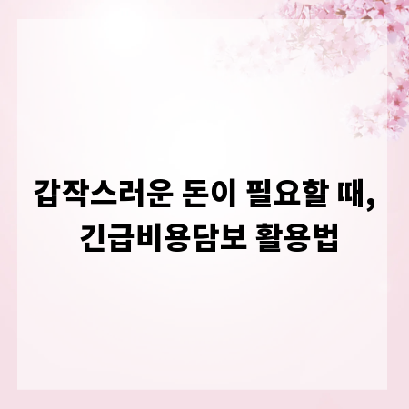 갑작스러운 돈이 필요할 때, 긴급비용담보 활용법