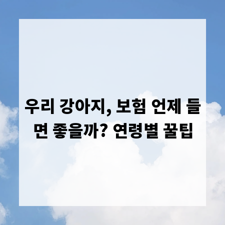 우리 강아지, 보험 언제 들면 좋을까? 연령별 꿀팁