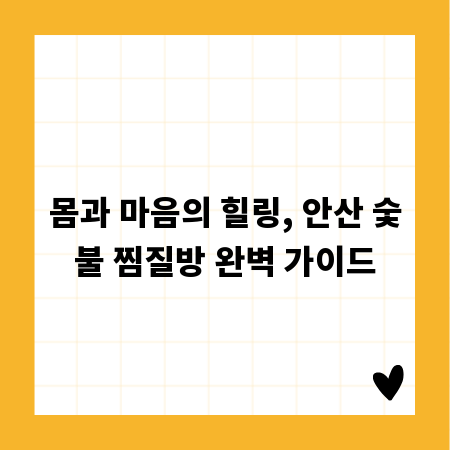몸과 마음의 힐링, 안산 숯불 찜질방 완벽 가이드
