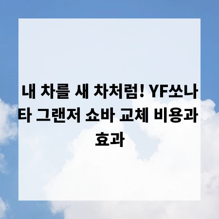 내 차를 새 차처럼! YF쏘나타 그랜저 쇼바 교체 비용과 효과