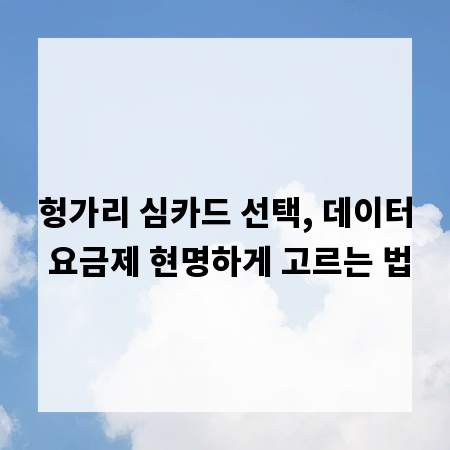 헝가리 심카드 선택, 데이터 요금제 현명하게 고르는 법