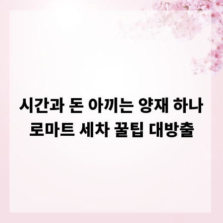 시간과 돈 아끼는 양재 하나로마트 세차 꿀팁 대방출