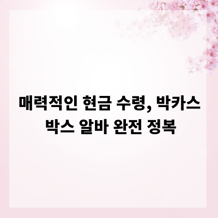 매력적인 현금 수령, 박카스 박스 알바 완전 정복