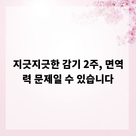 지긋지긋한 감기 2주, 면역력 문제일 수 있습니다