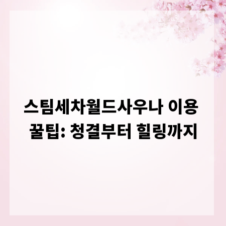 스팀세차월드사우나 이용 꿀팁: 청결부터 힐링까지