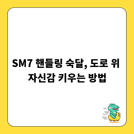 SM7 핸들링 숙달, 도로 위 자신감 키우는 방법