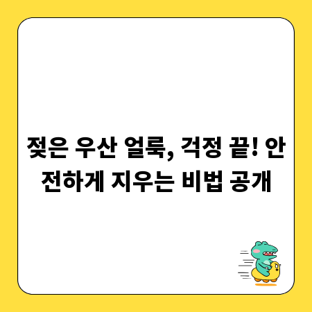 젖은 우산 얼룩, 걱정 끝! 안전하게 지우는 비법 공개