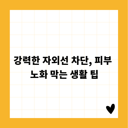 2월 제주도 코디: 따뜻함과 스타일을 모두 잡는 겨울 여행룩
