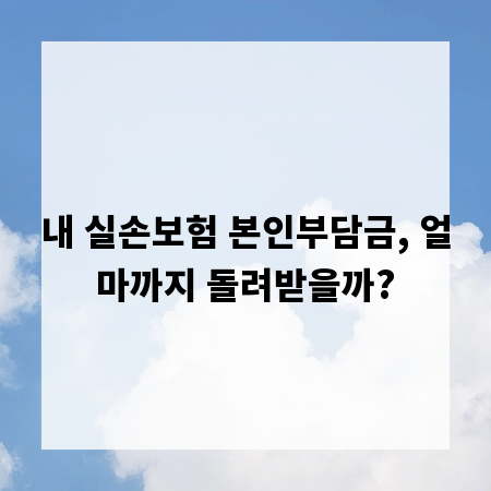 내 실손보험 본인부담금, 얼마까지 돌려받을까?