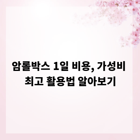 암롤박스 1일 비용, 가성비 최고 활용법 알아보기