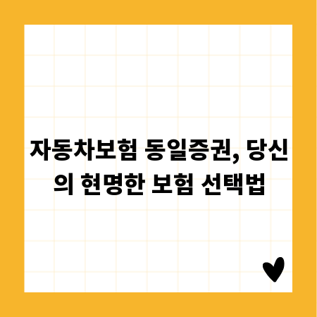 자동차보험 동일증권, 당신의 현명한 보험 선택법
