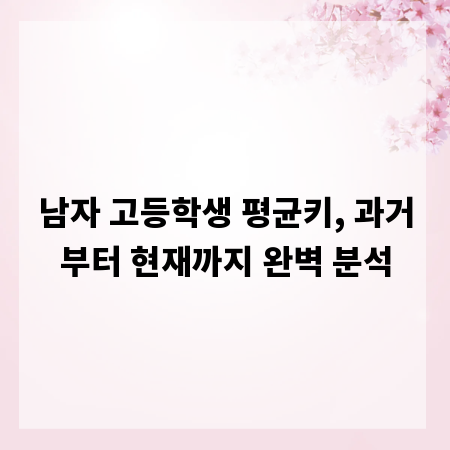 남자 고등학생 평균키, 과거부터 현재까지 완벽 분석