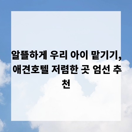 알뜰하게 우리 아이 맡기기, 애견호텔 저렴한 곳 엄선 추천