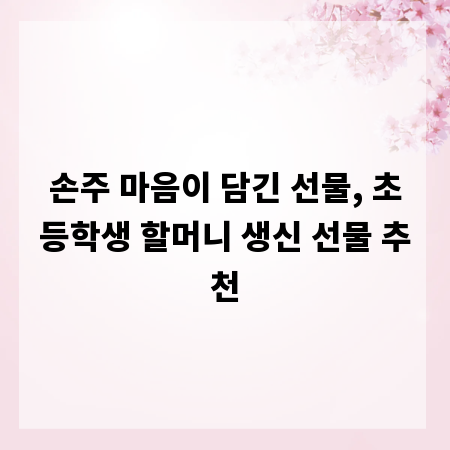 손주 마음이 담긴 선물, 초등학생 할머니 생신 선물 추천