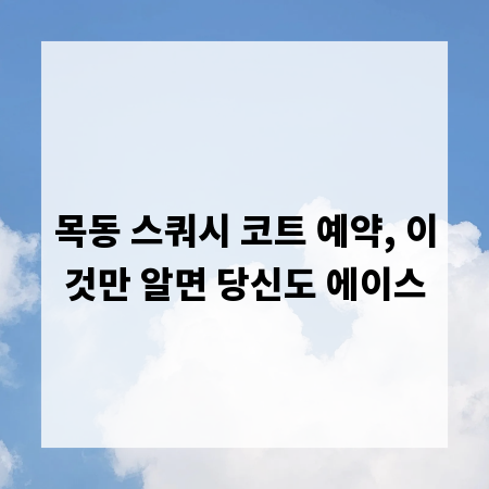 목동 스쿼시 코트 예약, 이것만 알면 당신도 에이스