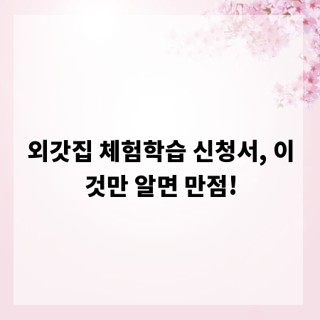 외갓집 체험학습 신청서, 이것만 알면 만점!