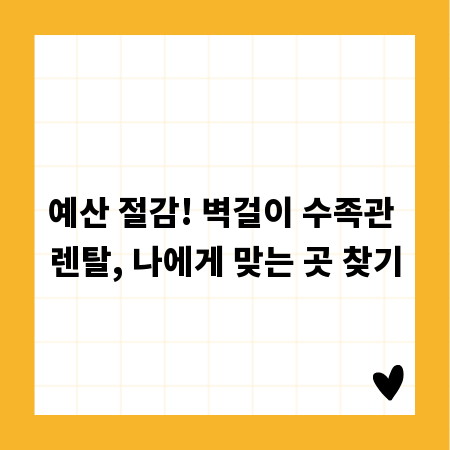 예산 절감! 벽걸이 수족관 렌탈, 나에게 맞는 곳 찾기