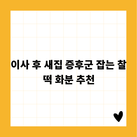 이사 후 새집 증후군 잡는 찰떡 화분 추천